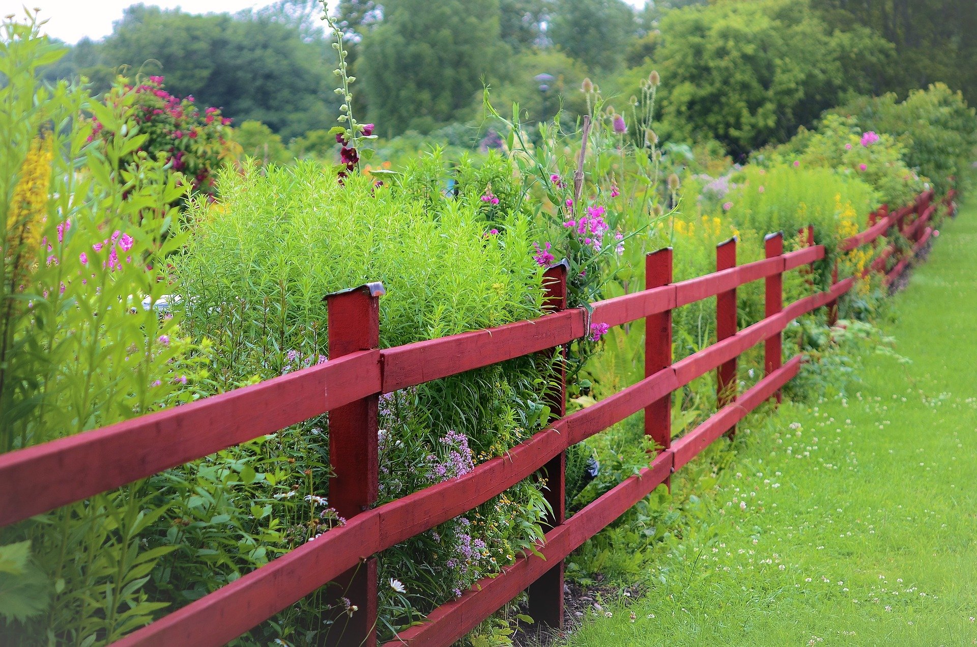 Photo of a Garden Fencing Specialist