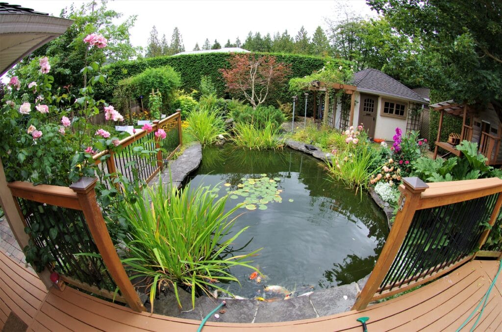 Photo of a Pond Installation and Maintenance Specialist